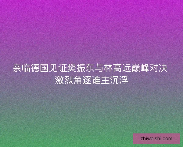 亲临德国见证樊振东与林高远巅峰对决 激烈角逐谁主沉浮